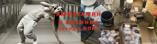 прущие грибы Семикаракорск