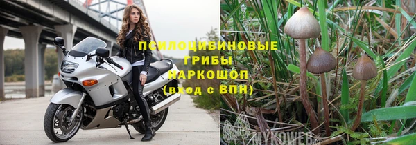 прущие грибы Семикаракорск