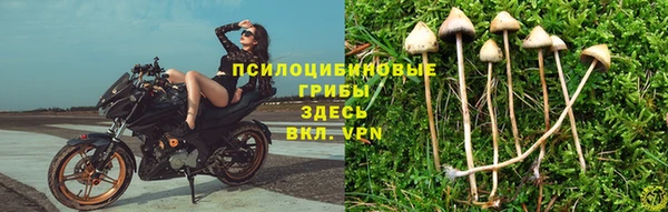 амфетамин Семилуки