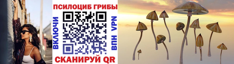 Купить Ирбит Галлюциногенные грибы ЛСД